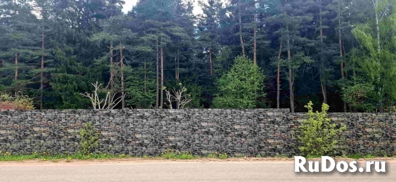 Дом в Пушкинских Горах у хвойного леса в Псковской области фотка