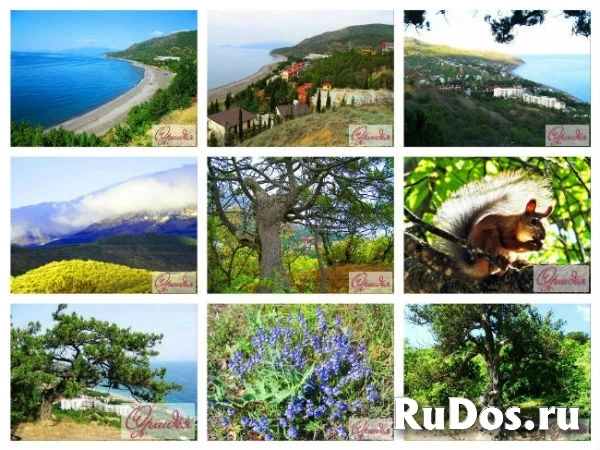 Канака снять номер жилье в пансионате в Канаке изображение 4