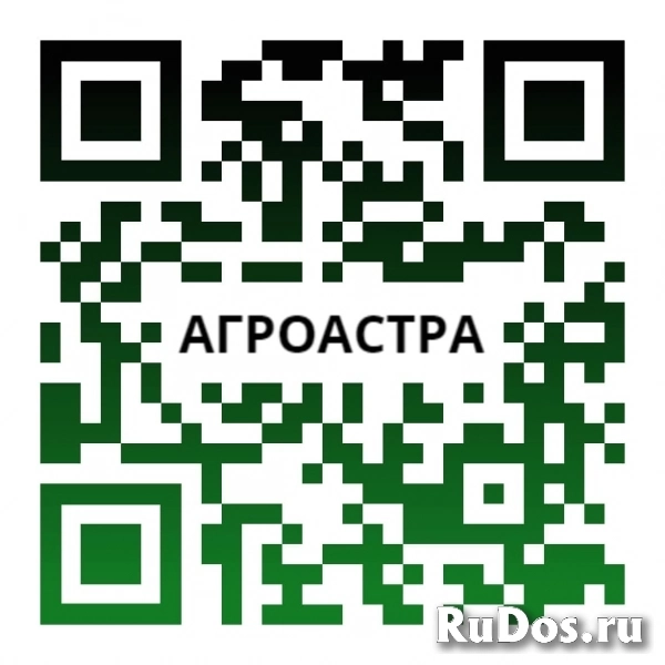 Семена пшеницы озимой купить Акапелла Арсенал Армада Бумба Багира фотка