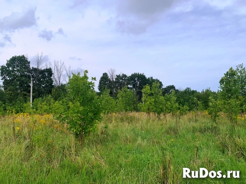 Участок в экологически чистом районе 3-5 км от р. Ока. изображение 9