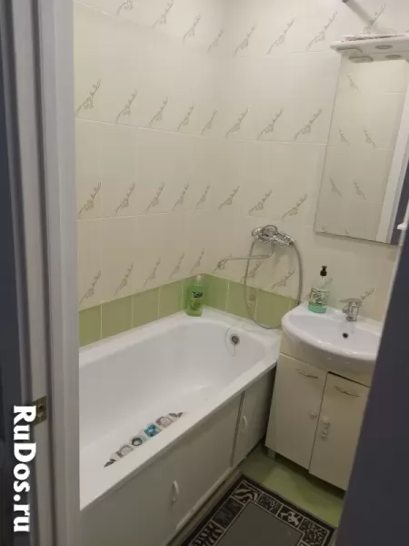 Аренда у Дмитрия изображение 7