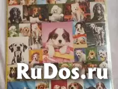 для книг, учебников изображение 6