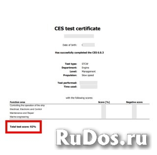 Помощь Seagull CES, Seagull CBT и сдача других тестов для моряков изображение 3