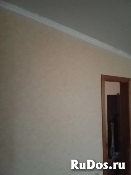 Классная, уютная, толстостенная квартира, био, ЭКО пейзаж  ;  наша ( не агентики ) , агентики мимо изображение 8