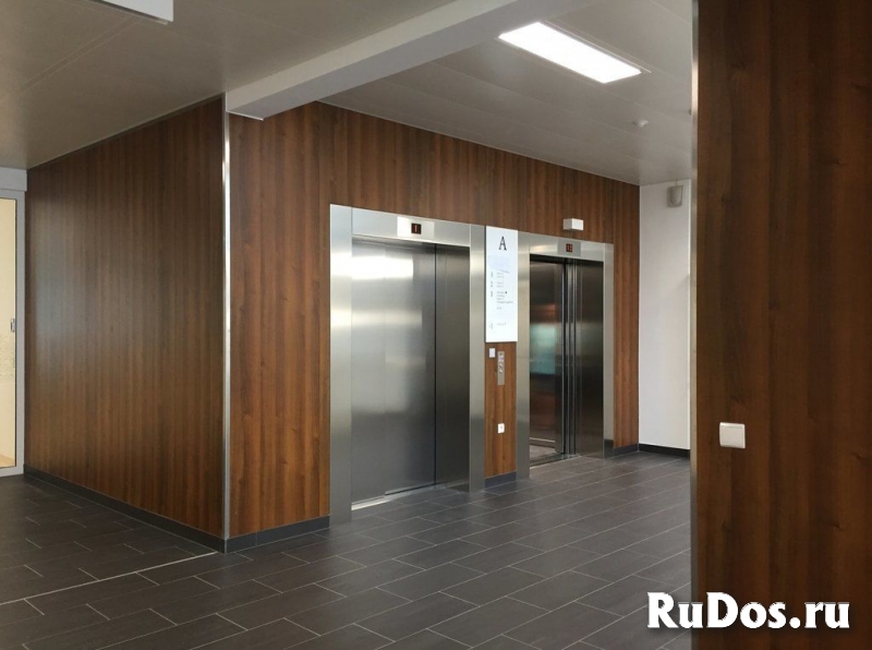 Листовой коммерческий пластик ДБСП для отделки стен и интерьеров изображение 3