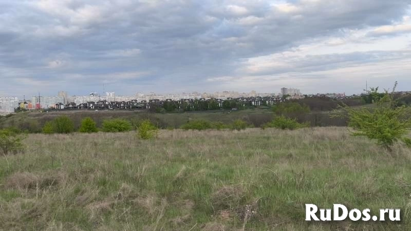 Дубовое изображение 9