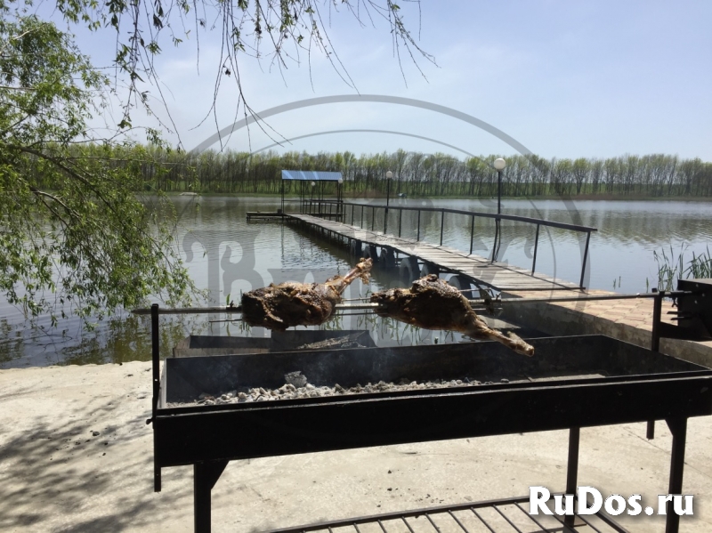 Вертел для мангала с приводом изображение 5