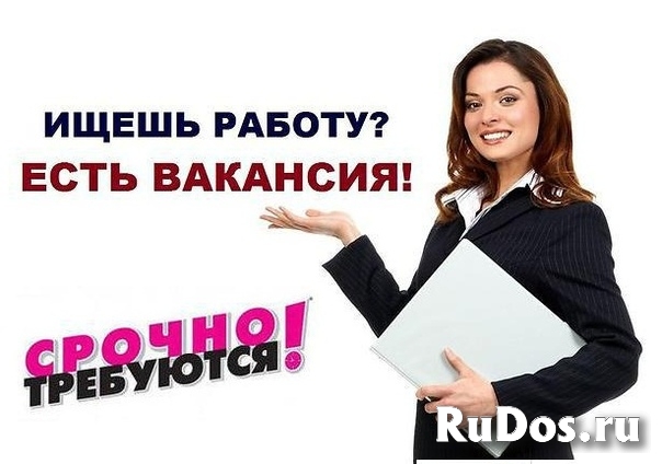 Админиcтpатор интернeт-проeктa фото