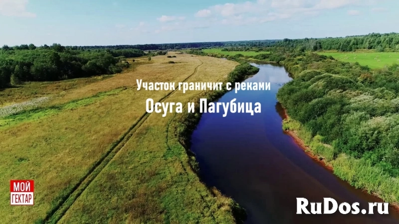Бартер на смежные участки по 1-н га, меж дух рек Осуга и Пагубица. фото