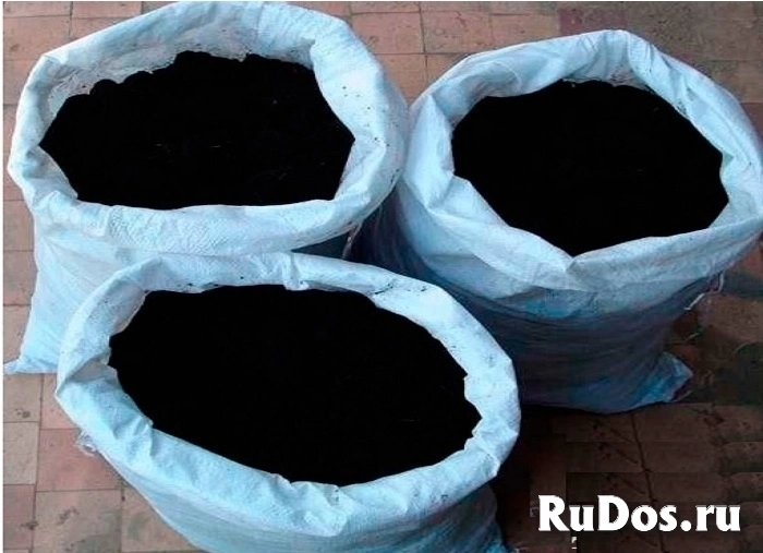 Сапропель с озера Неро в Ярославле фото