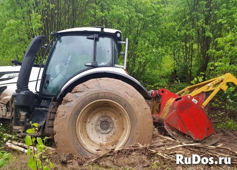 Расчистка участка мульчером от 1 Га, спил деревьев изображение 9