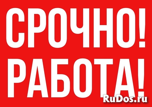 Администратор-менеджер фото