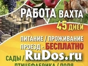 требуются разнорабочие фото