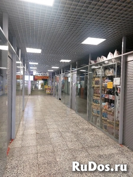 Ломоносов изображение 3