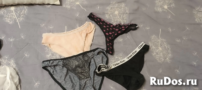 Мои трусики изображение 3