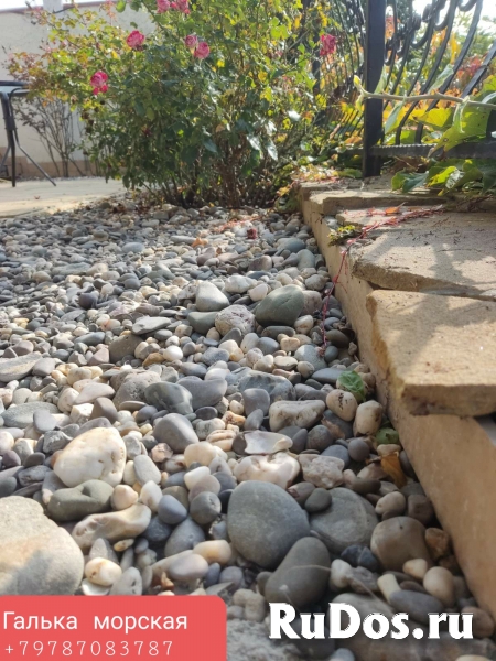 Уход за садом изображение 4