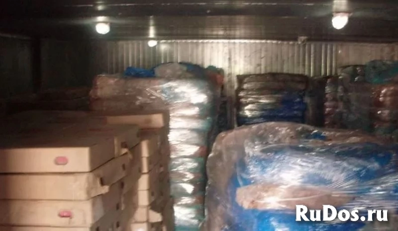 Холодильная база 911 м.кв изображение 3