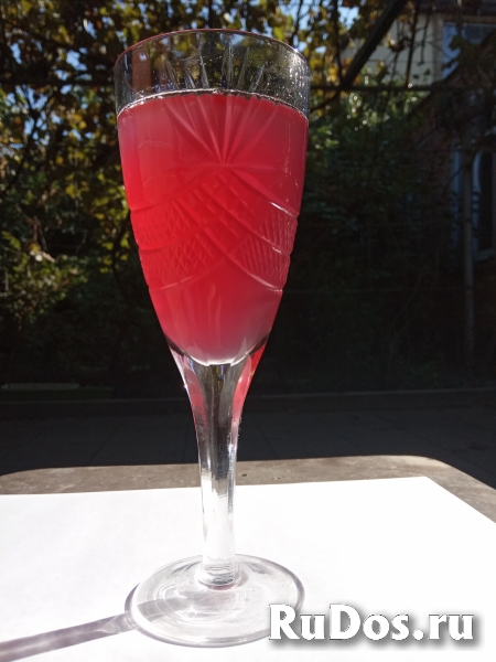 Винное домашнее сусло изображение 3