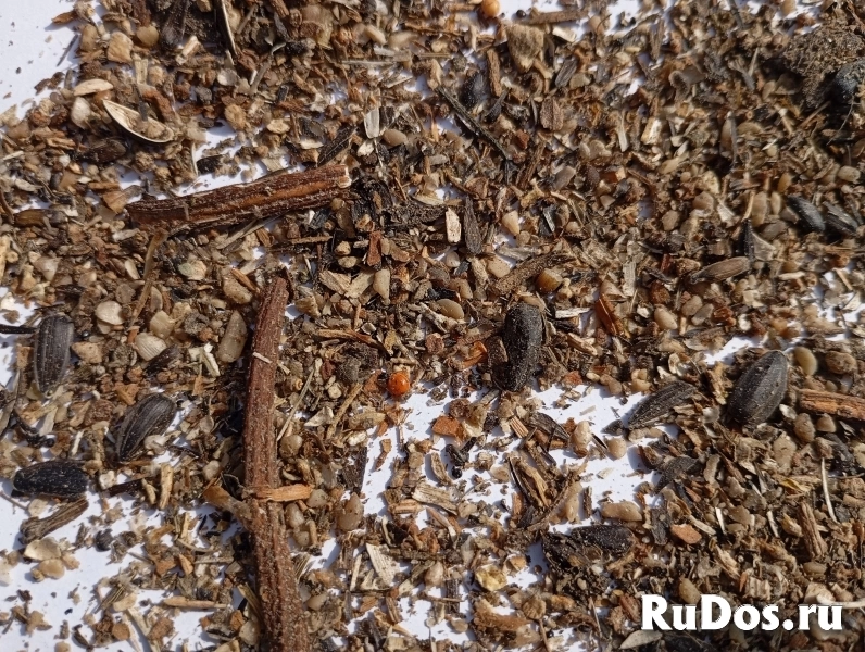 Отходы семян подсолнечника навалом фотка