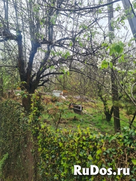 Земля в Сочи, ул. Фундучная фотка