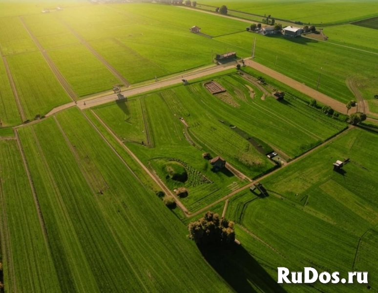 Продажа земли  сельскохозяйственного назначения фото