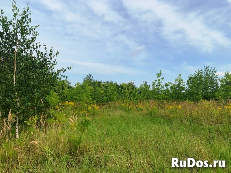 Участок в экологически чистом районе 3-5 км от р. Ока. изображение 8