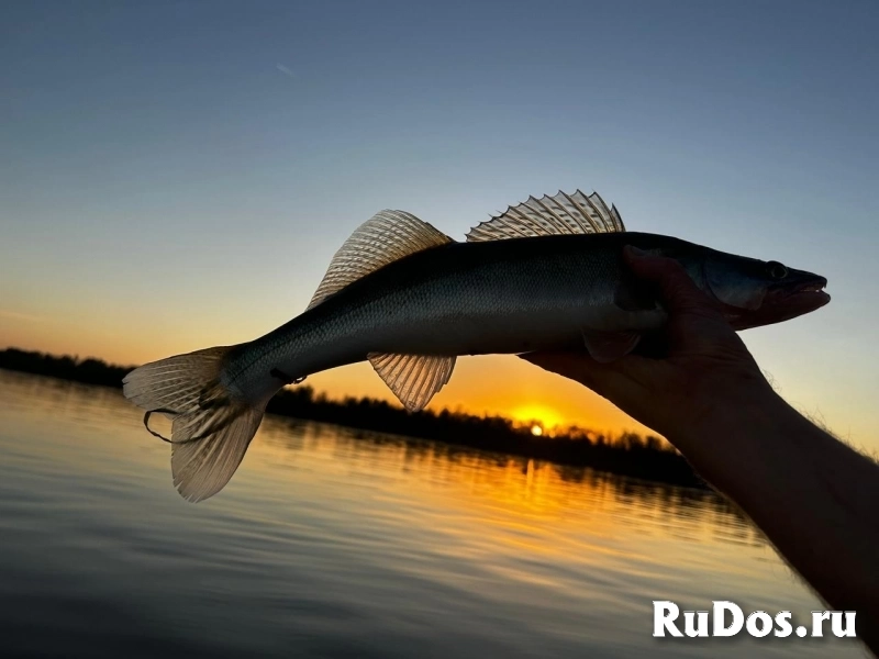 Бaза отдыха "Bолжaнка", на берегу Волги, рыбалка изображение 3