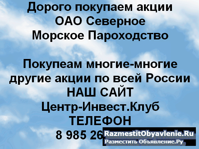 Покупаем акции Северное Морское Пароходство и друг фото