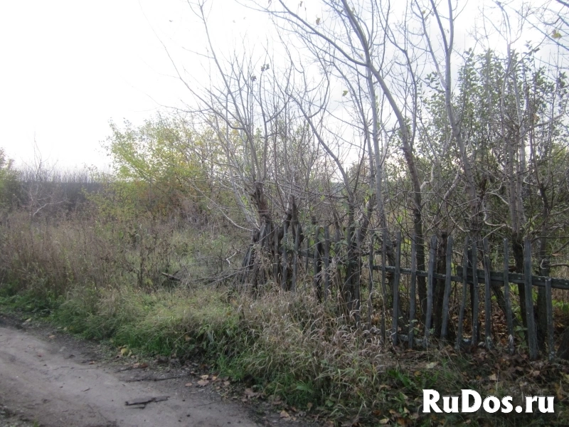 Земельный участок п.Балки СНТ КГСХА-7 изображение 5