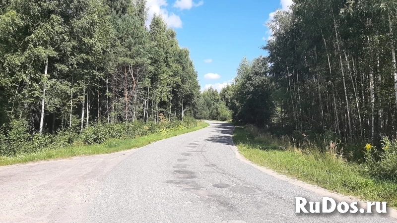 Уютный участок под строительство дома в березовой роще изображение 8