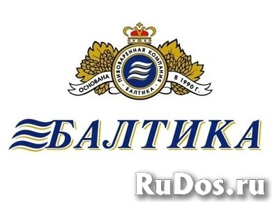 Торговый представитель Балтика фото