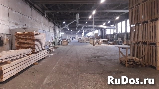 Продажа производственно-складского комплекса с арендаторами. Окупаемость 8 лет. изображение 3