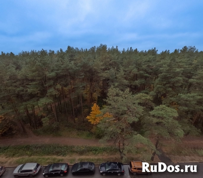 4-к. квартира, 109,6 м², 7/19 эт. изображение 8