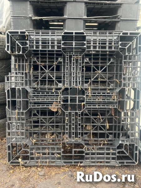 Вывоз выкуп Пластиковые поддоны паллеты бу изображение 7