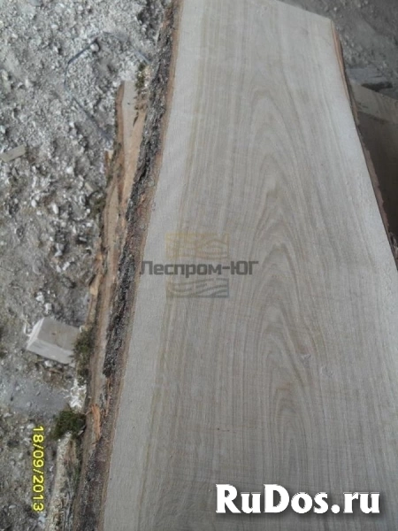 Качественные Пиломатериалы из лиственных пород изображение 3