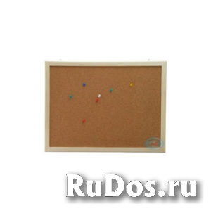 Мебель для образовательных учреждений, школ, лицеев, институтов изображение 8