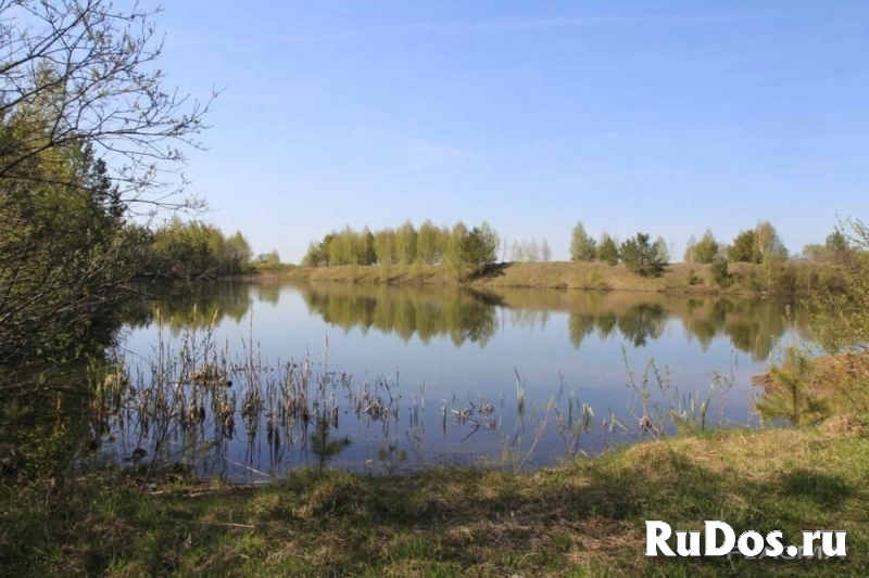 Сдам земельный участок 2 га изображение 3