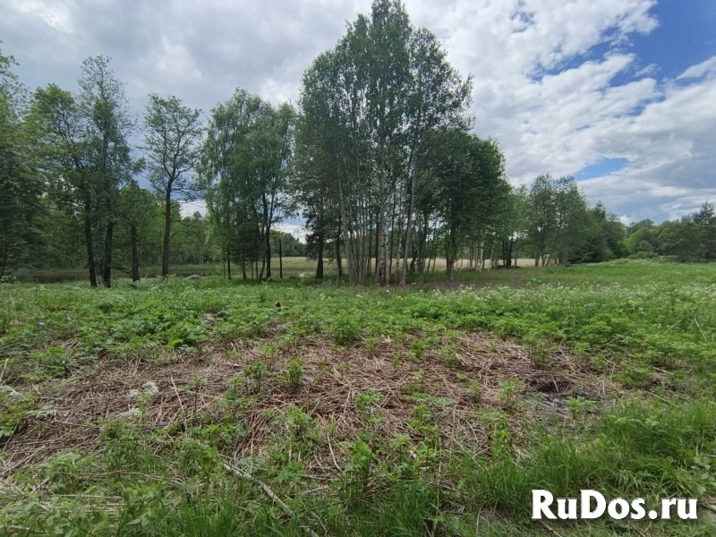 Продам участок 20.25 сот. изображение 4