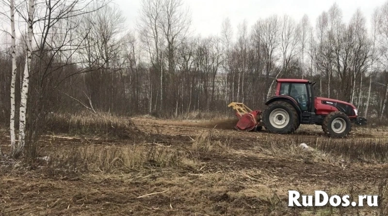 Расчистка участка мульчером от 1 Га, спил деревьев изображение 6