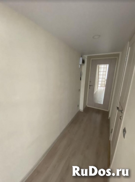 Студия с пропиской фотка