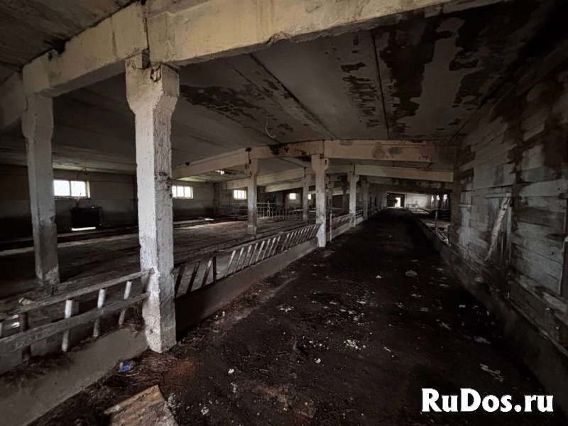 Сдам коммерческую недвижимость 1050 м2 фотка