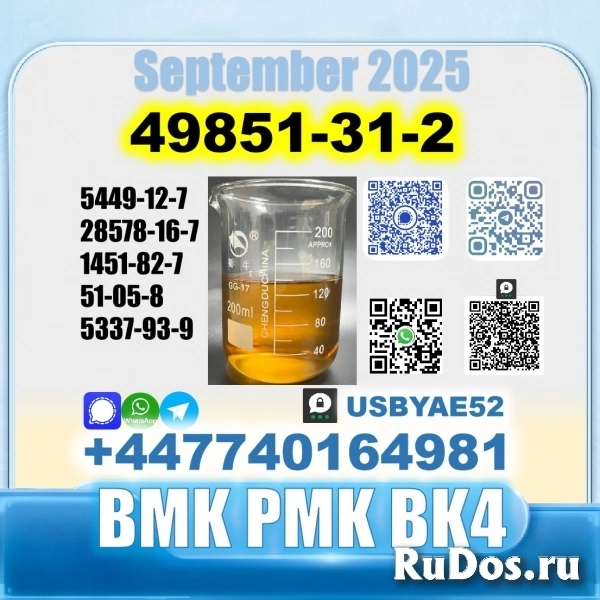 49851-31-2 BVF 2-Bromovalerophenone BK4 factory stale supply изображение 3