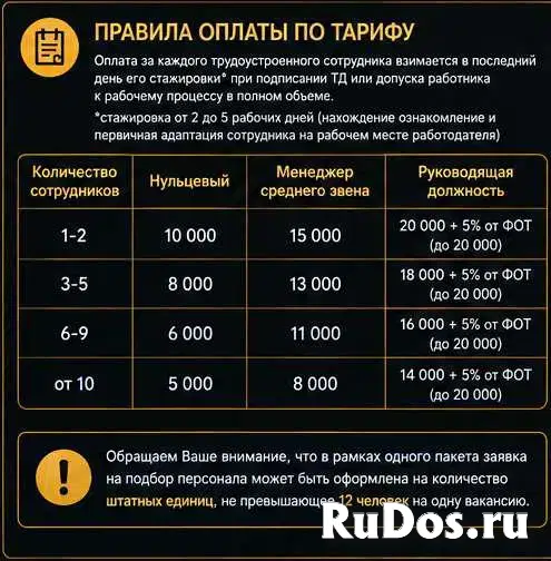 Подбор персонала/Кадровый аудит изображение 5