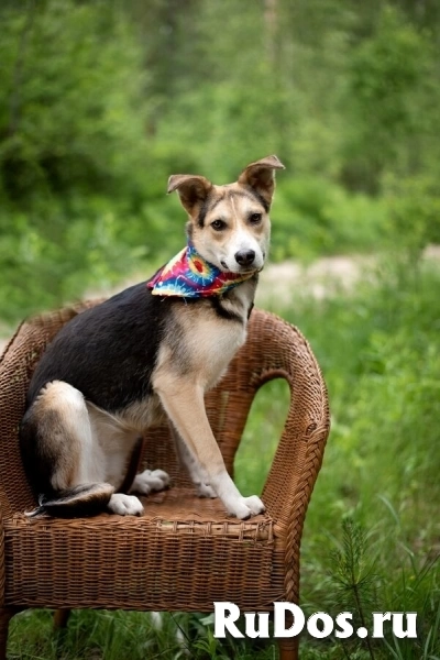 Ума — девочка, которая ждёт именно своего человека фотка