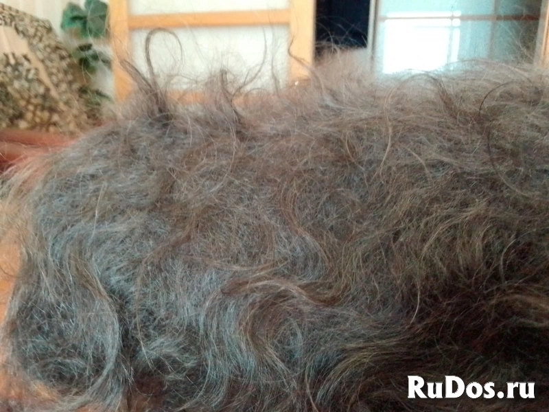 Шаль пуховая. изображение 4