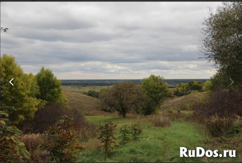 Новгород. Земля 13,65 га ИЖС, для строительства коттеджного посёлка — 220 участков, по 6 соток каждый изображение 5