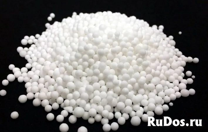 , купить растения фото