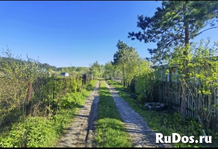 Срочно продаю участок изображение 7