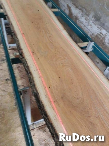 Акация, карагач круглый лес, пиломатериалы оптом. изображение 5