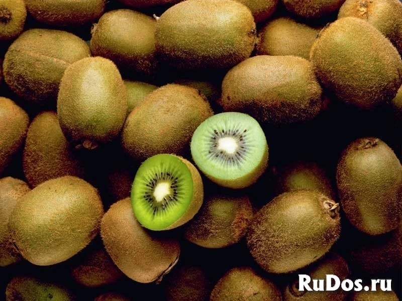 Поставка овощей и фруктов из Ирана изображение 5